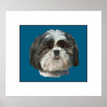 Impressão do cão de Shih Tzu