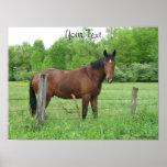 Impressão do cavalo