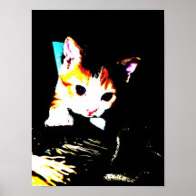 Impressão do gatinho