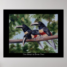 Impressão do poster do Toucan de três amigo