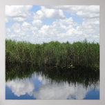 Impressão dos marismas de Florida