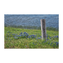 Impressão rural das canvas de Texas na primavera Impressão De Canvas Esticada