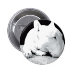 Inglês bull terrier, impressão do pop art boton