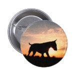 Inglês bull terrier & por do sol, estilo da pintur boton