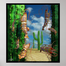 Invasão #5 do oceano: Camarões do Sonoran Pôsteres