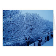 Inverno 3 de 7 cartão