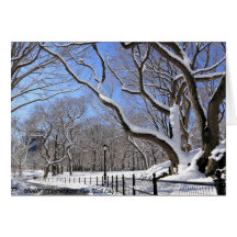 Inverno no Central Park, Nova Iorque Cartoes