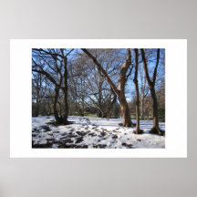 INVERNO no poster da fotografia do CENTRAL PARK