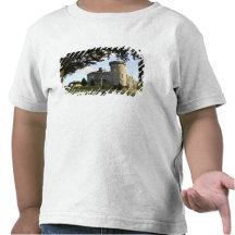 Ireland, a entrada lateral do castelo de Dromoland T-shirts