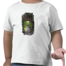 Ireland, de Dromoland do castelo o verde muito Camisetas