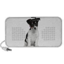 Jack Russell Terrier Caixinhas De Som Para Viagem