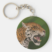 Jaguar Chaveiro