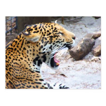 Jaguar manchado pintou a imagem cartées postais