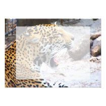 Jaguar manchado pintou a imagem convites