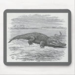 James Johonnot - crocodilo de Nile Mousepad