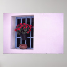 Janela com flores vermelhas posteres