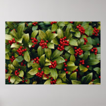 Japonica de Skimmia Posteres