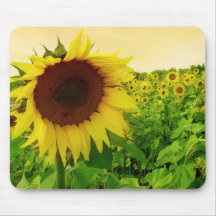Jardim amarelo Mousepad do girassol