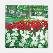 Jardim branco vermelho das tulipas imãs de refrigerador
