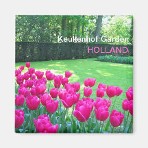 Jardim cor-de-rosa das tulipas imãs
