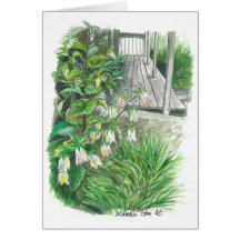 Jardim do quintal cartoes