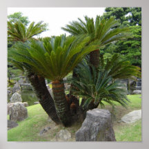 Jardim japonês impressão