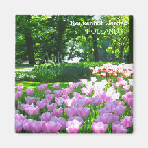Jardim violeta das tulipas imãs de refrigerador