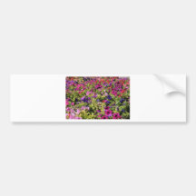 Jardin de flores etiqueta de parachoque