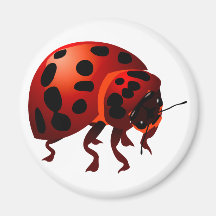 Joaninha ladybug imã de refrigerador
