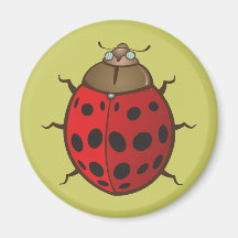 Joaninha ladybug imas