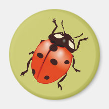 Joaninha ladybug imãs