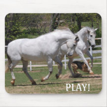 JOGO DOS ANDALUSIANS! TAPETE DO RATO MOUSE PAD