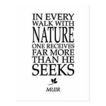 John Muir Cartão Postal