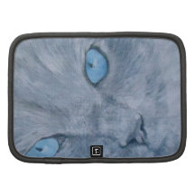 Joia o gato de Ragdoll Organizadores