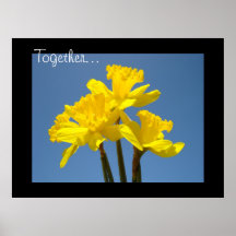 Junto… Daffodils do céu azul dos presentes do impr