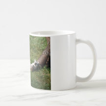 Katta com o sono de meio-dia caneca