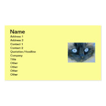 Kismet o gato de Ragdoll Cartao De Visita