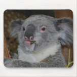 Koala amigável Mousepad