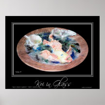 KOI NO VIDRO POSTER