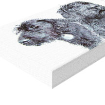 Labradoodles preto impressão de canvas envolvidas