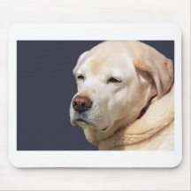 Labrador dourado mouse pad