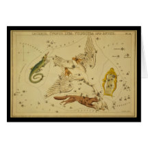Lacerta, Cygnus, Lyra, Vulpecula e Anser Cartoes