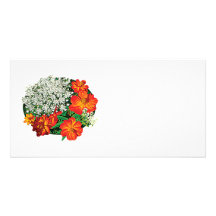 Laço da rainha Anne com flores alaranjadas Cartões Com Fotos Personalizados