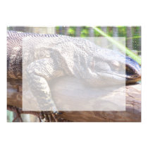 lagarto grande no fim do registro acima convites