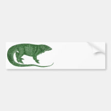Lagarto Variegated Adesivo