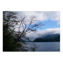 Lago Whatcom Modelos Cartão De Visita