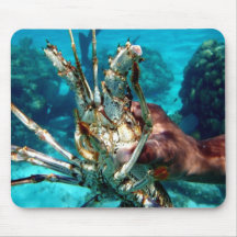 Lagosta Mouse Pads