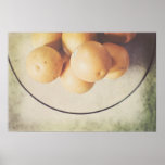 laranjas em um poster do stilllife da bacia