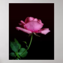 LC_SS_Rose Impressão