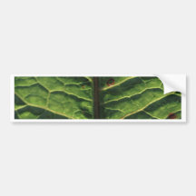 leaf.jpg adesivos